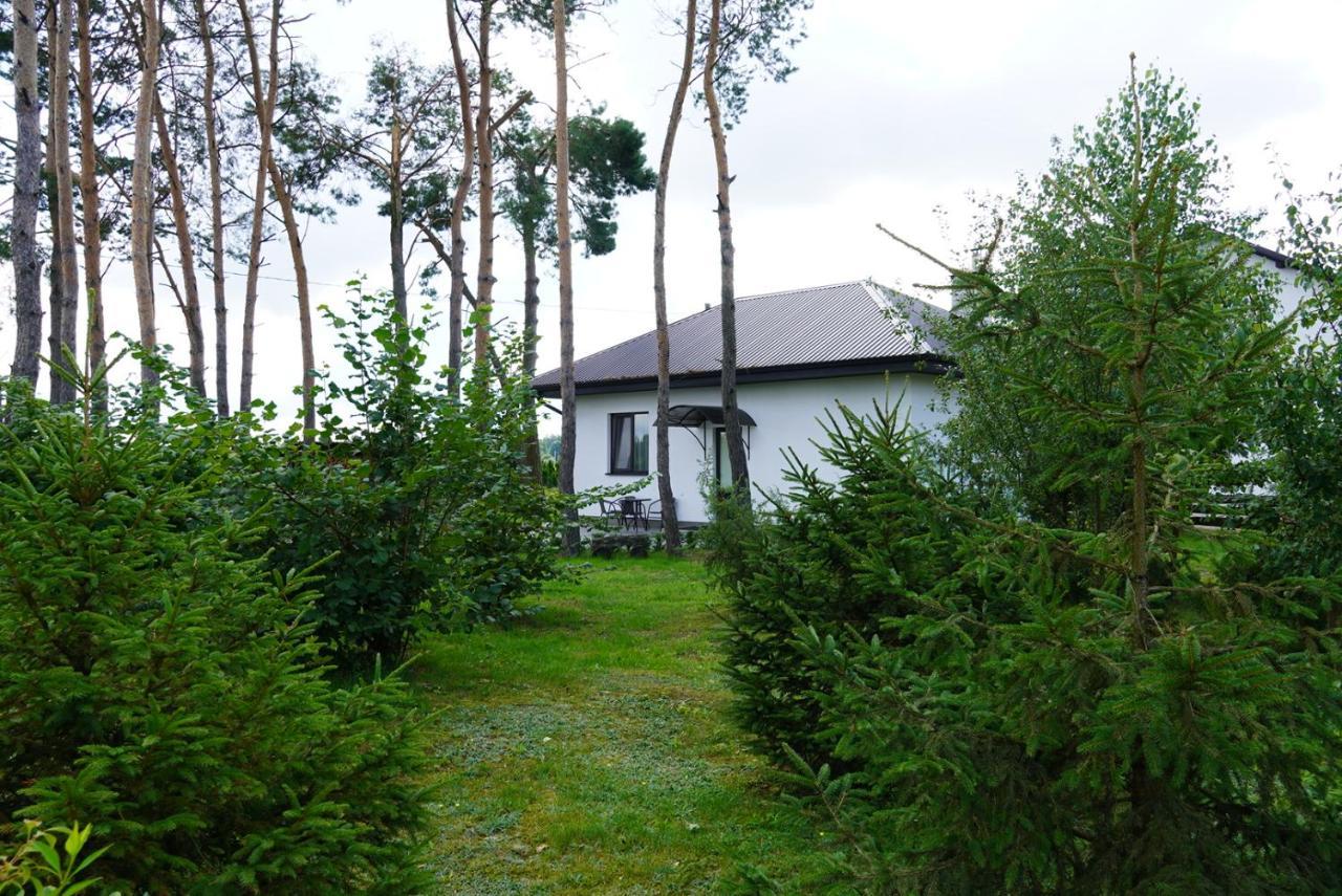 Znamenka  Homestead Nikolino מראה חיצוני תמונה